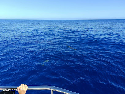 DUOCEAN Rendez-vous catamaran