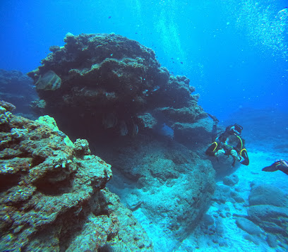 Zourite Plongée Saint-Gilles-Les-Bains île de La Réunion