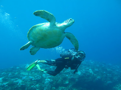 Wulfy Diving - Plongée sous marine - la Réunion - Wulfy Diving Reunion