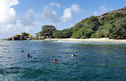 Félicité snorkeling