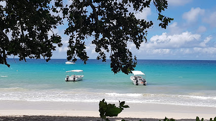 Dive Seychelles Underwater Centre