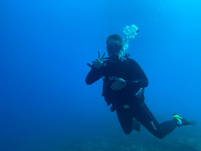 Ocean Wonder Dive Center