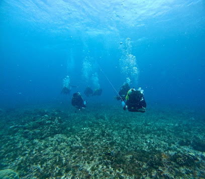 Nomadic Divers