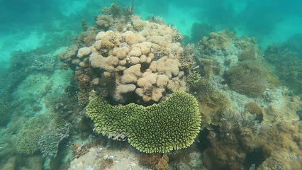 Mawana Tumbatu island
