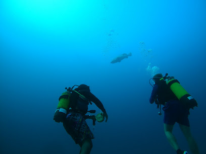 Zulu Scuba