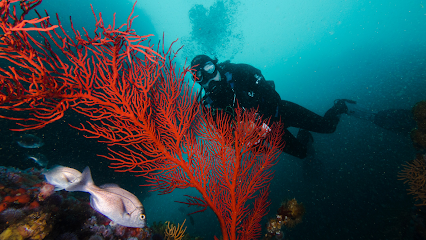 Just Africa Scuba