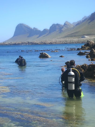 BlackSheep.Diving