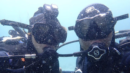 Scuba Diving SA Cape Town