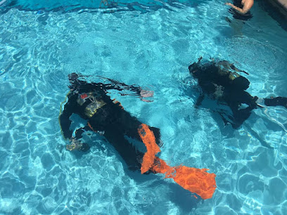 Still Bay Scuba