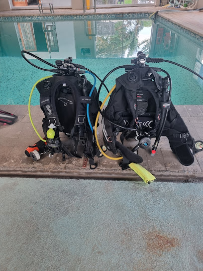 Kimo Divers