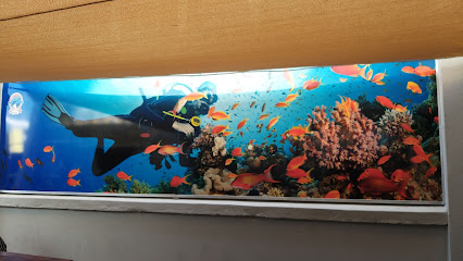 BSAC - Bloemfontein Sub Aqua Club