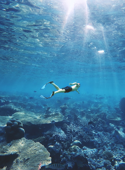 Ballito Scuba Electrodive