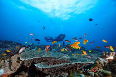 Pisces Diving Sodwana Bay