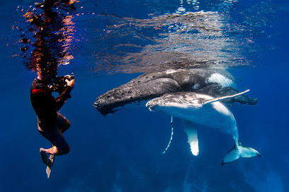 ProDive Travel