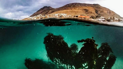 Impact Divers