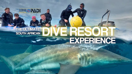 Blue Ocean Dive Resort - Aliwal Shoal Shark Diving