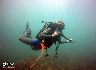 J-Bay Scuba Diving - diving in J-Bay and St Francis Bay