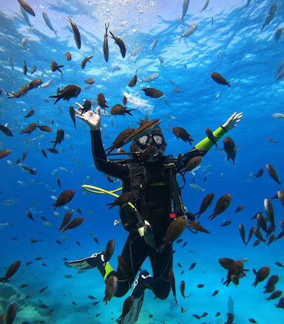 Seaworld Diving Adventures Cyprus