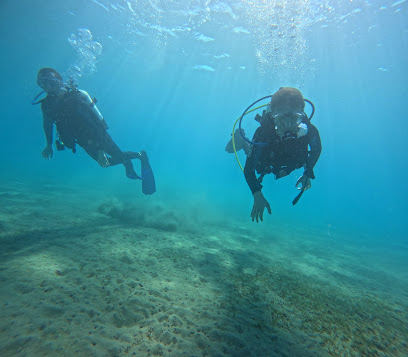 Blue Thunder Diving