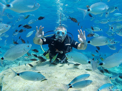 Tempo Divers, Freediving & Scuba