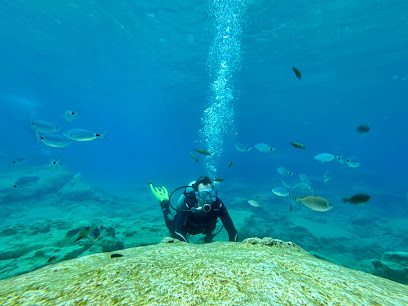 Poseidon Dive Centre, Protaras, Cyprus