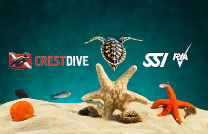 Crest Dive
