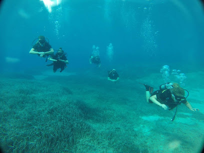 D P Diving School EU Ltd