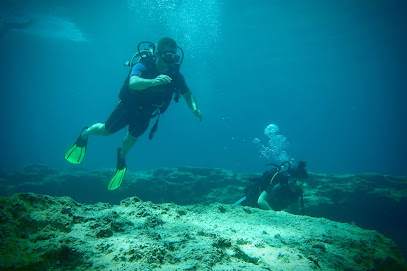 Happy Divers