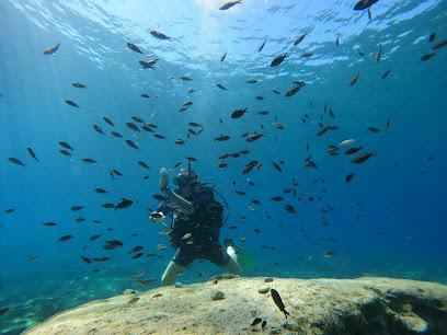 Transdivers - Cyprus