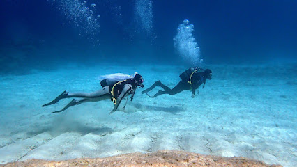 Great Turtle Diving Centre , Большая Черепаха