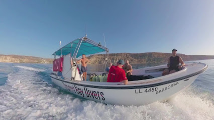 Pissouri Bay Divers