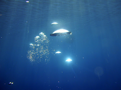 Aquadream SCUBA Diving Academy
