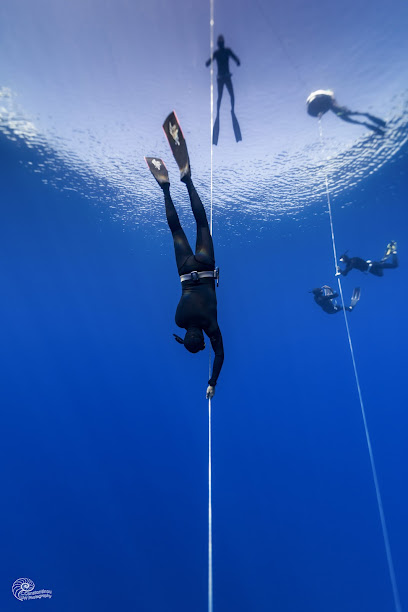 Free2Dive Freediving Center