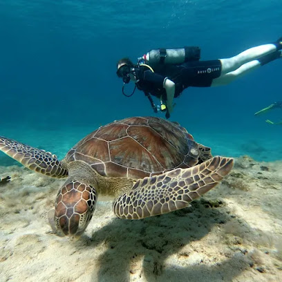 DiveVentures Cyprus