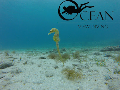 Ocean View Diving,Cyprus