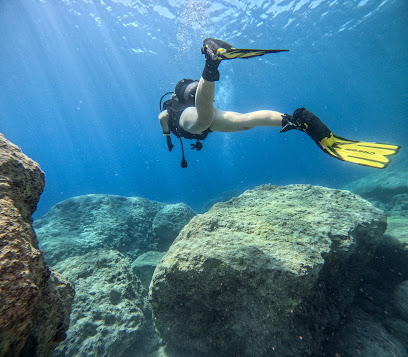 Dive Cypria