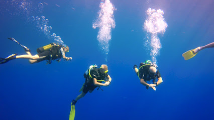Cyprus Underwater Explorers