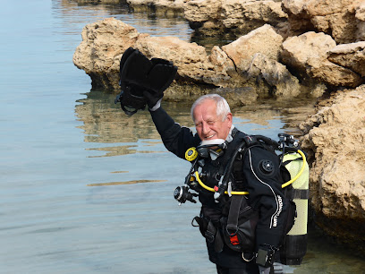 Herbie's Diving Paradise