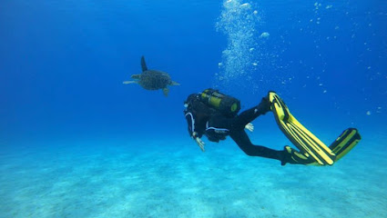 I Dive Cyprus
