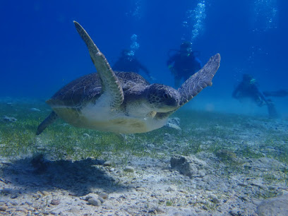 Taba Diving Centre