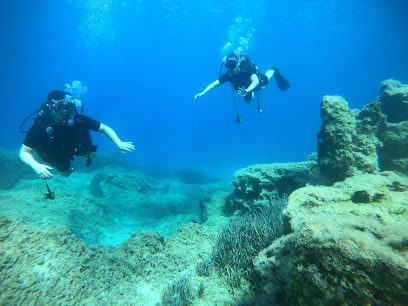 Gotodive Diving Center Cyprus