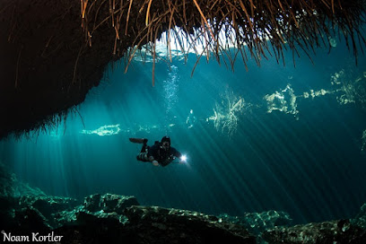 Palamida dive center