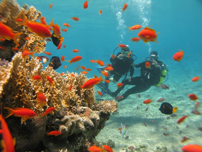 Snuba Dive Center