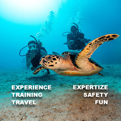 Dimon Dive Co.