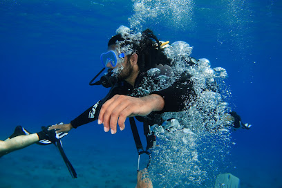 Dive in Eilat