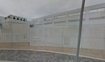 צוללי הדרום