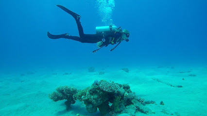 Ahla Diving Club PADI 5 STAR IDC