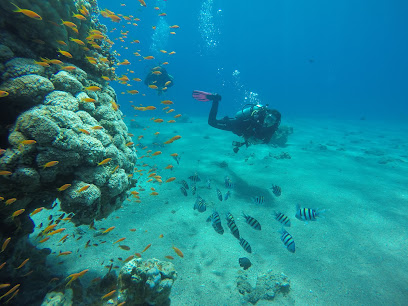 Sigala Diving School