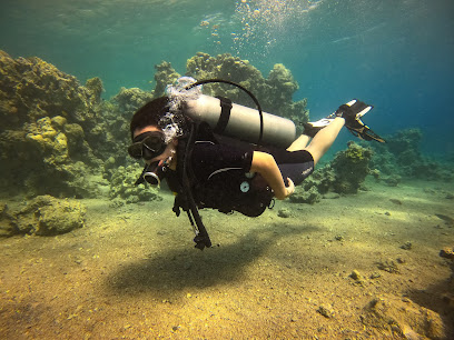 Jordan diving centre (Arab Divers)