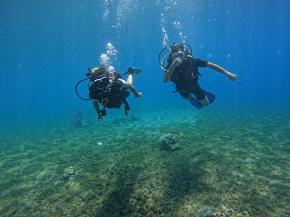 Aquaman diving school